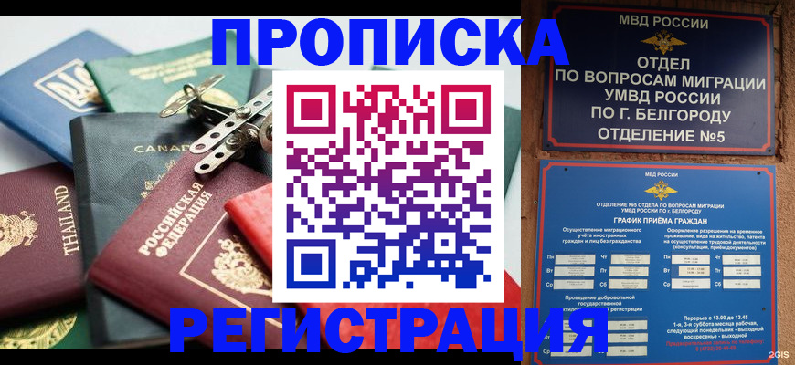 временная регистрация недорого в Истре